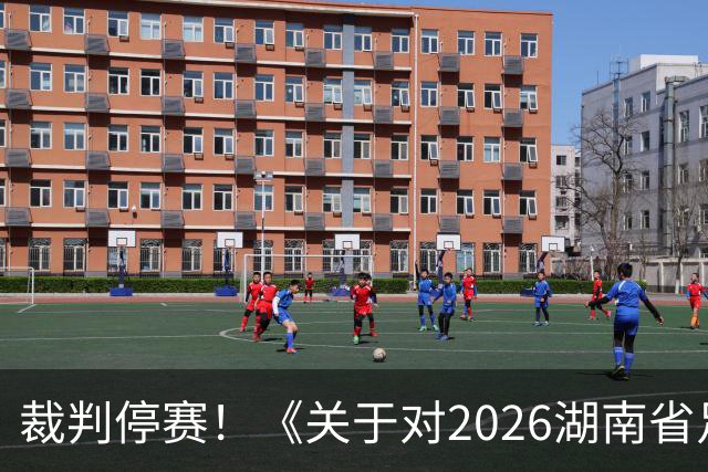 裁判停赛！《关于对2026湖南省足球联赛（第二轮）相关裁判员的处罚决定》发布